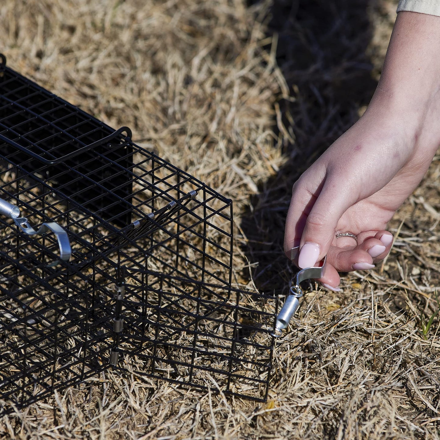 Rugged Ranch 2-Pack Chipmunkinator Multi-Catch Chipmunk Trap, Wire Cage, 14.5"x4"x14.5" Each - Live Catch-and-Release, 2-Door Humane Rodent Control, No-Poison Outdoor Use