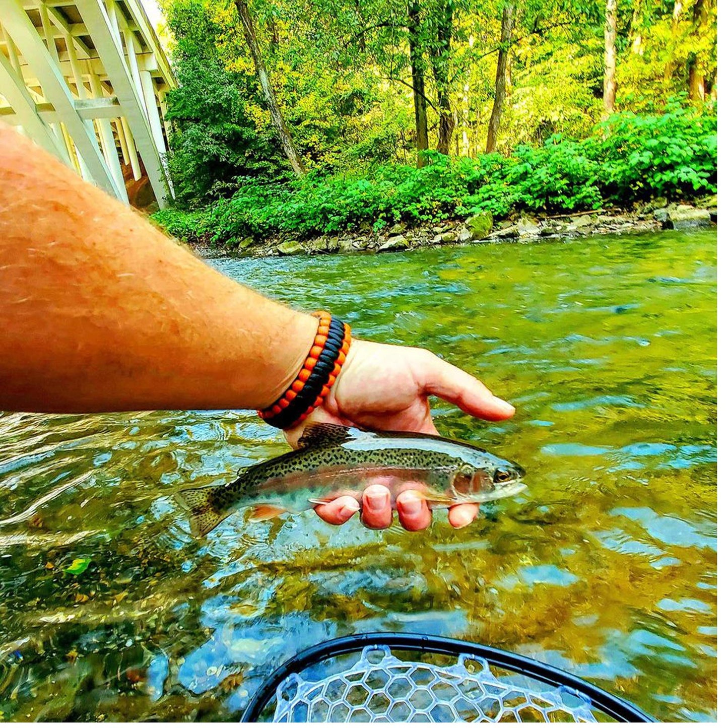 Aventik Fly Floating Fishing Net Carbon Fiber Landing Net Clear Rubber Ghost Net Catch & Release(Green)