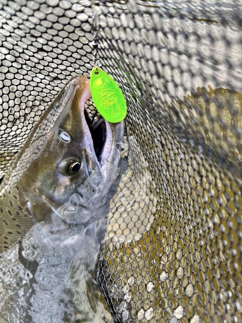 Prime Lures Weighted Fishing Spinners Real Silver (Xcite Pack A, #3)