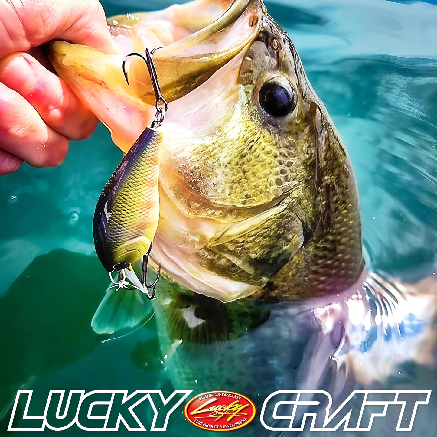 LUCKY CRAFT LC 1.5 Silent Crankbait Fishing Lures, 2-3/8” Squarebill Crankbait, Bass Lures, Floating 4ft Depth Hard Bait, Fishing Gear, 270 MS American Shad