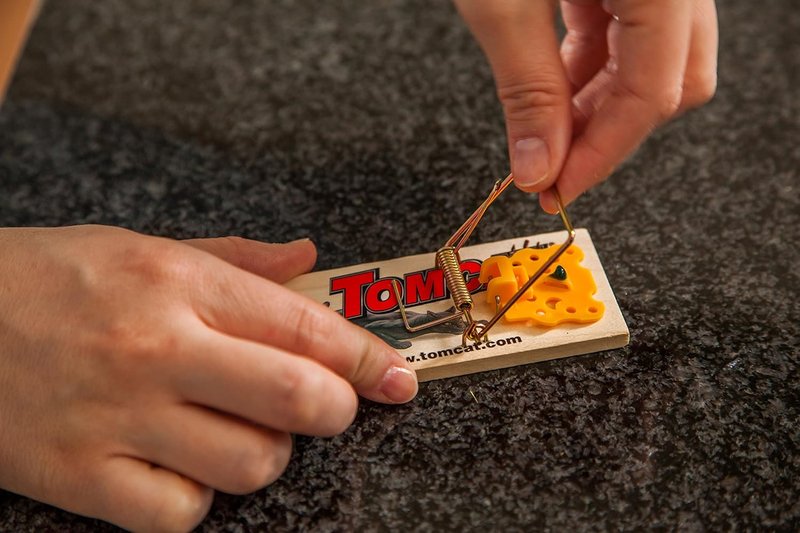 Tomcat Wooden Mouse Traps - Non-Chemical, Disposable Traps for Homes | 4 Count (Pack of 3)