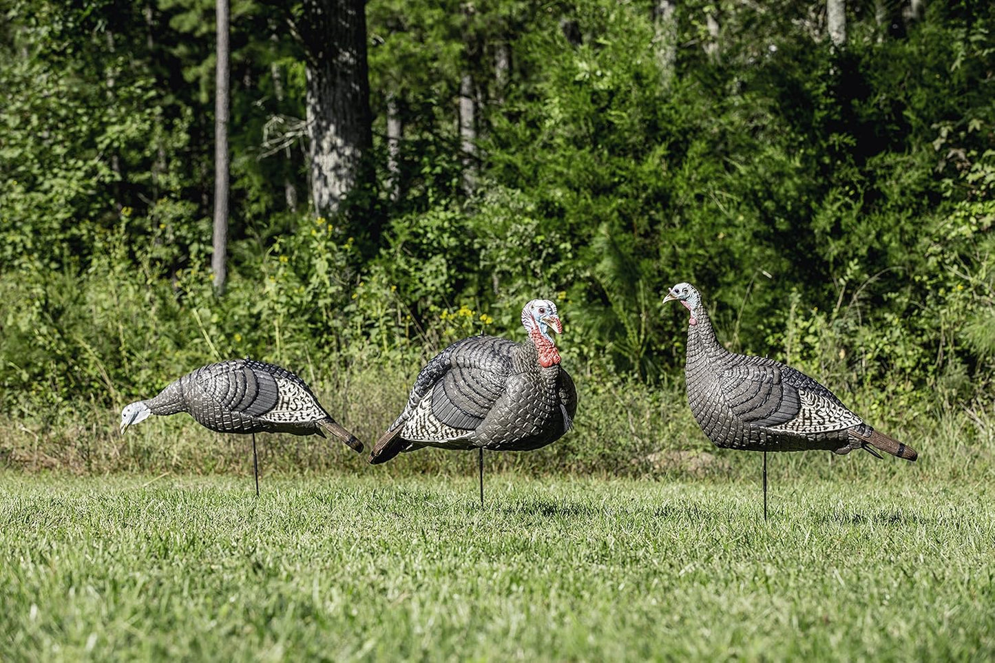 Turkey Decoys 3-Pack Combo Set - Realistic Flock Jake & Feeding Hen | Foldable Hollow Body