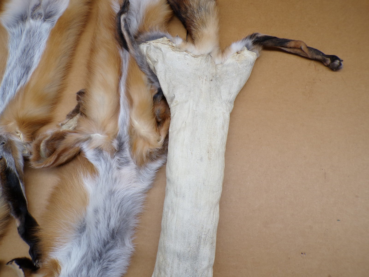 Red Fox Fur Hides with 4 Feet Attached - Tanned Wall Decor & Craft Material