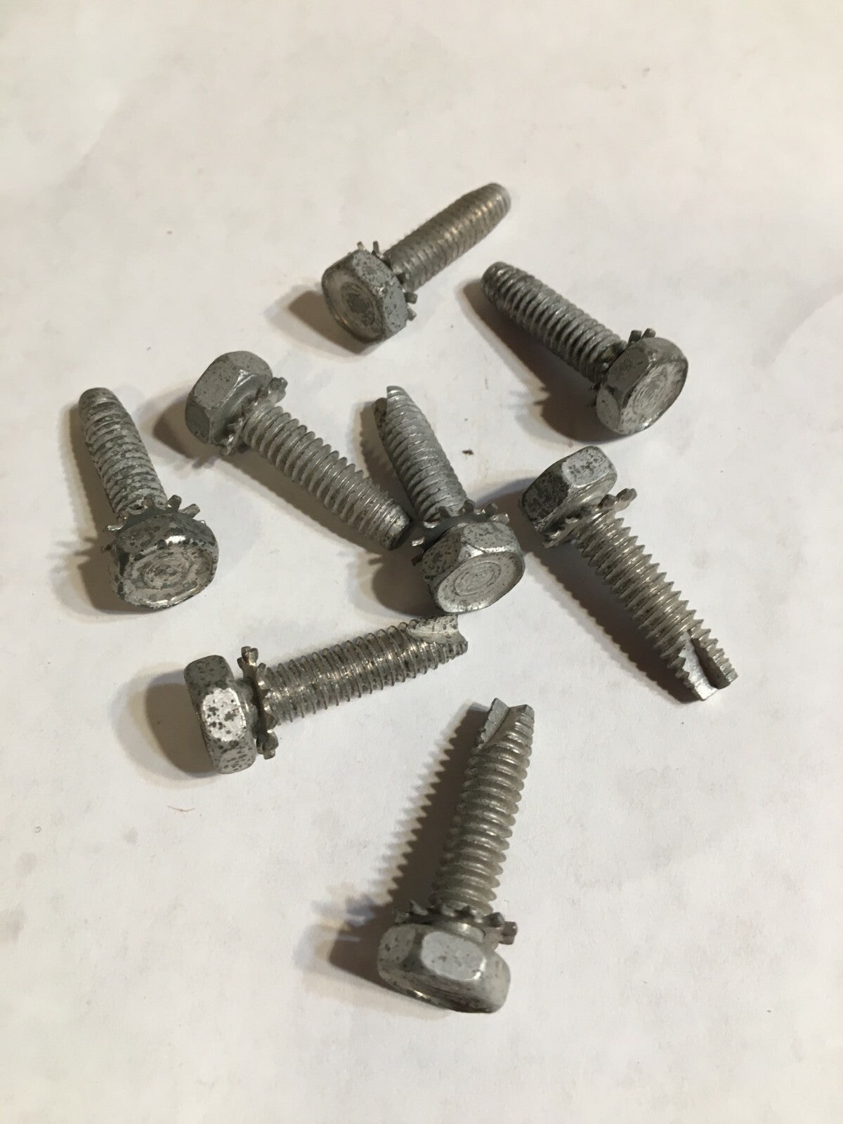 Vintage Polaris Chain Case Cover Bolt Set for 1969-1971 Vehicles
