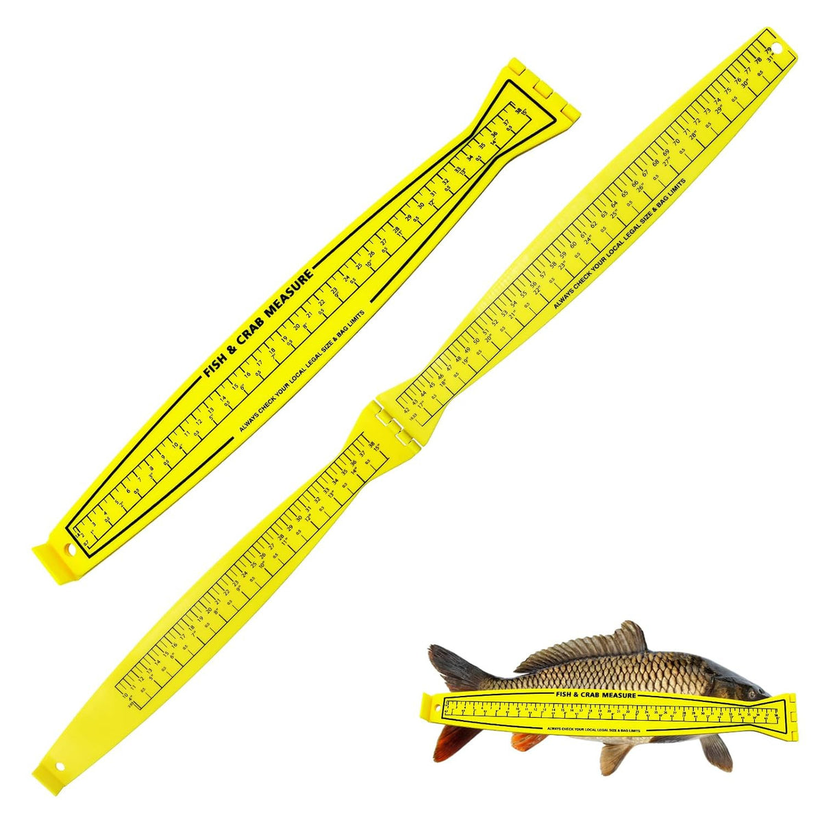 Foldable Fish Measuring Board 32-Inch with Lanyard - Waterproof & Lightweight