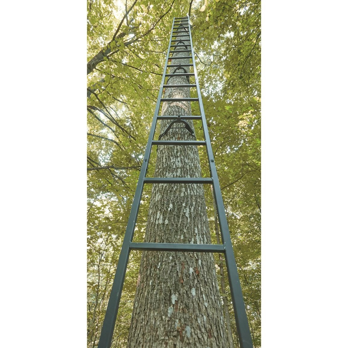20 ft Tree Stand Ladder with Wide Steps and Secure Attachments