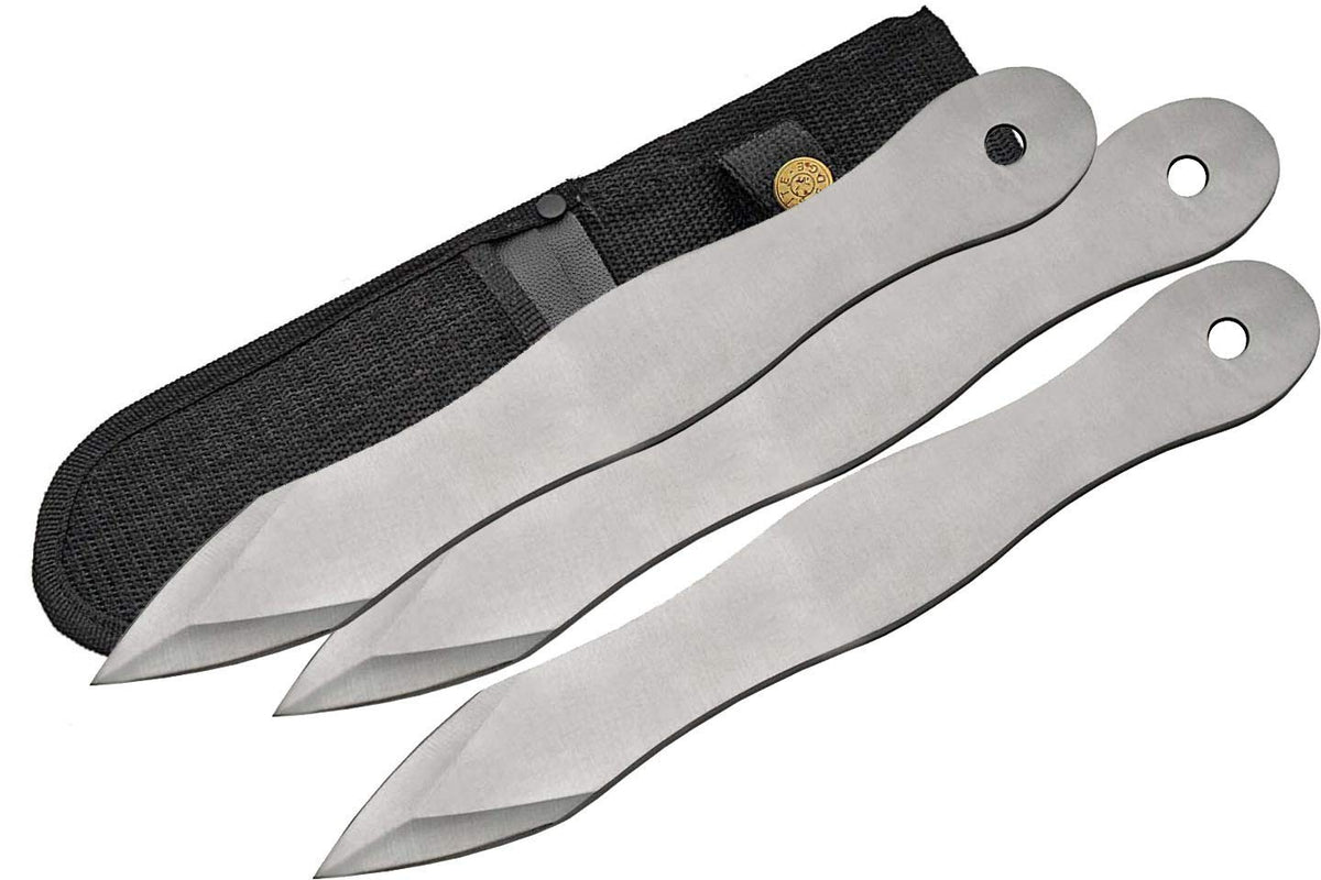 10 Inch Stainless Steel Throwing Spikes Set with Nylon Sheath for Martial Arts & Target Practice