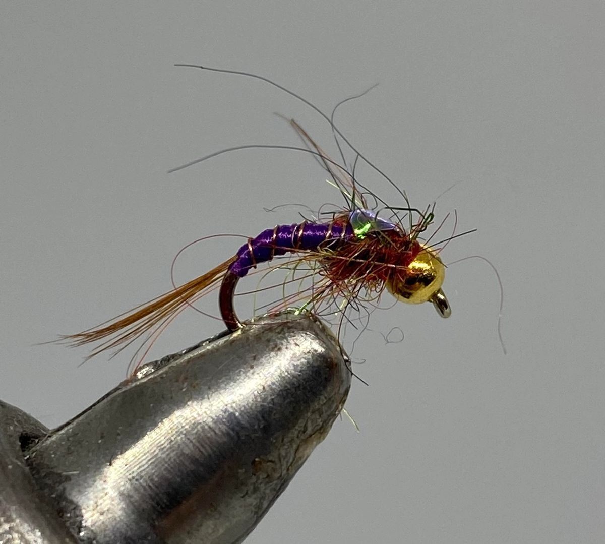 Fly Fishing Flies - Tungsten Beadhead Rainbow Warrior Purple - Multiple Sizes
