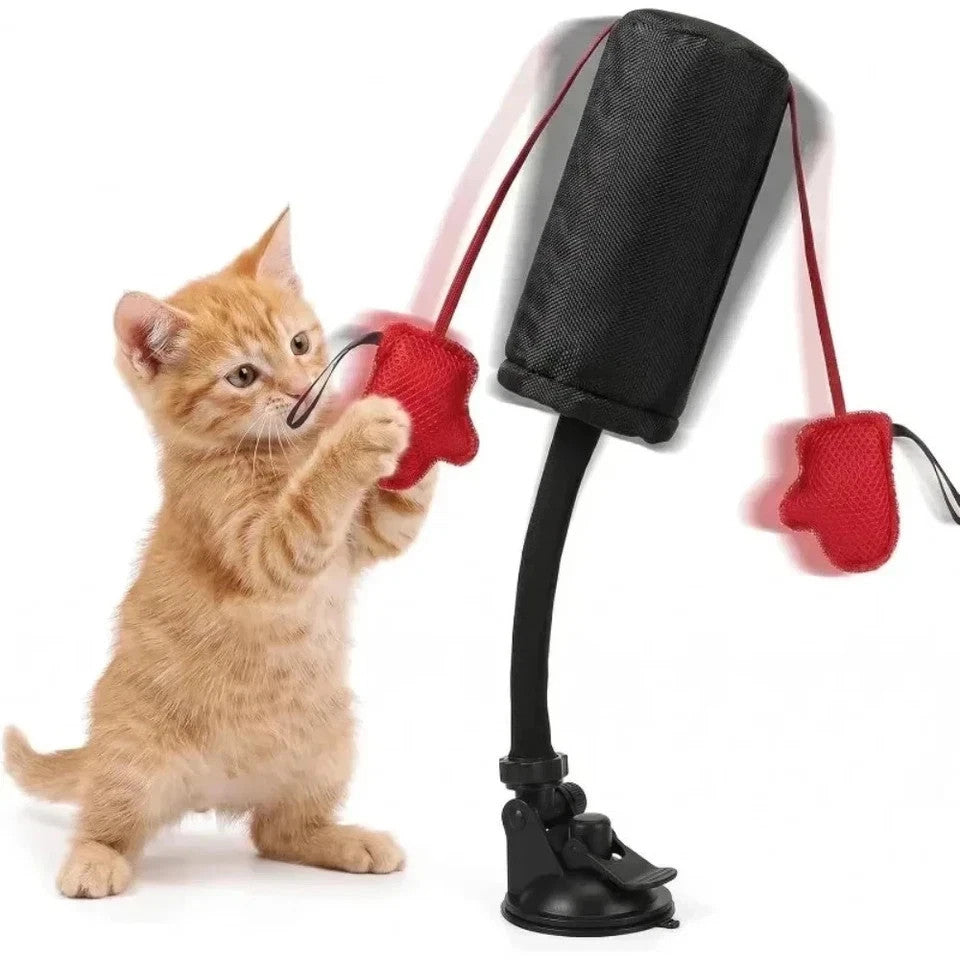 Interactive Cat Punching Bag Toy with Gloves - Durable Pet Play Equipment
