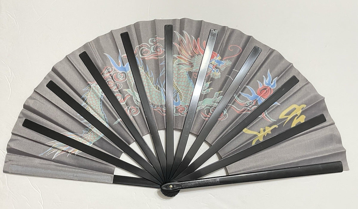 Martial Arts Training Fan - Black Plastic Kung Fu Tai Chi Exercise Fan - 13 Inch