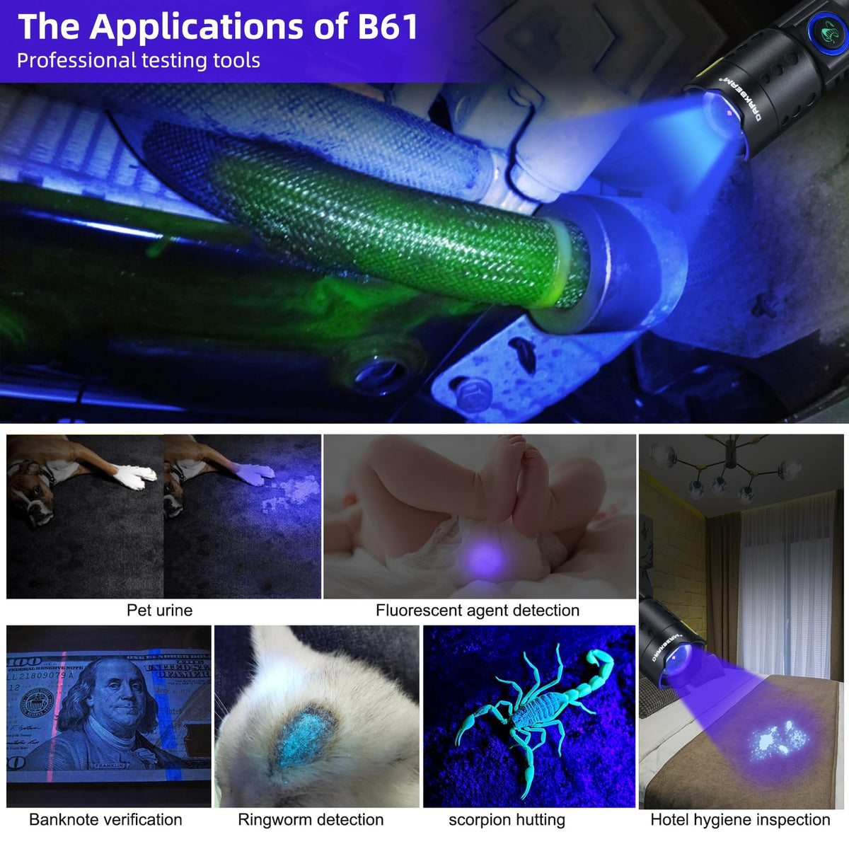 Rechargeable UV 365nm Black Light Flashlight for Pet Urine & Leak Detection