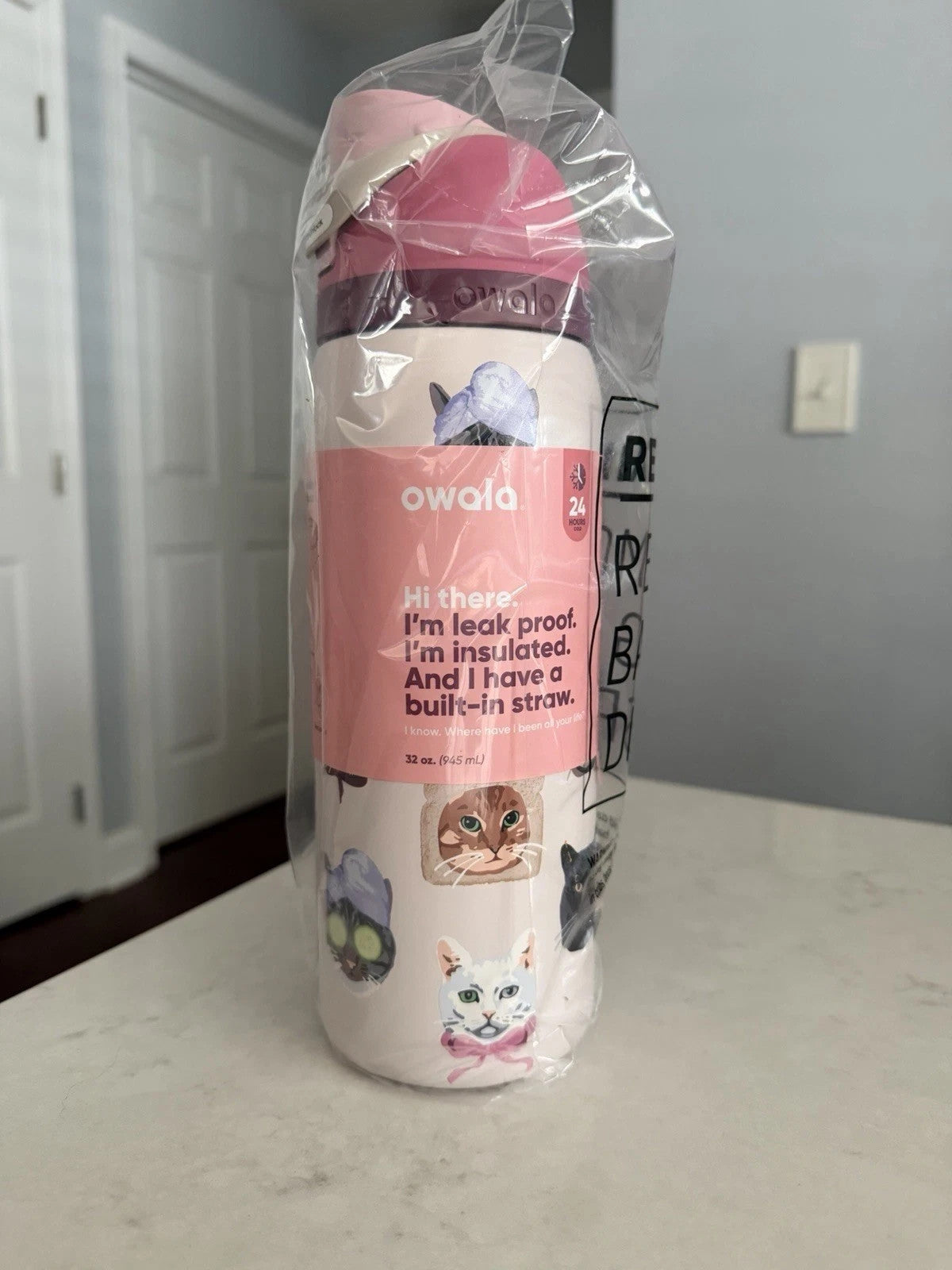 Owala UO Exclusive Cat Collage 32oz Water Bottle - Pink, Fun & Hydrating