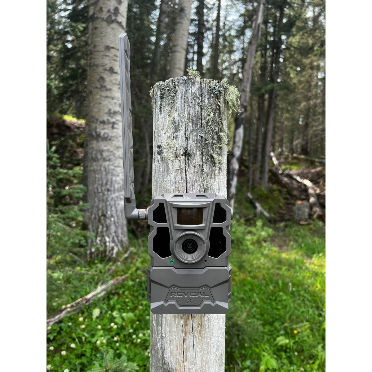 Cellular Trail Camera with GPS & HD Video for Hunting - Camouflage