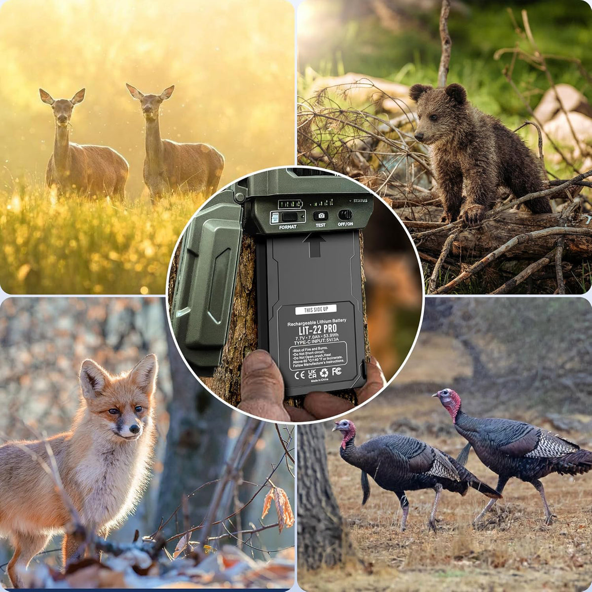 2 Pack Rechargeable 7000mAh Lithium Battery for SPYPOINT Trail Cameras