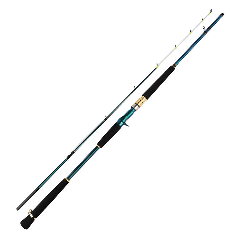 Seawater Boat Fishing Rod 6'6" 10-25lb Spinning & Casting Rod Carbon Solid Tips