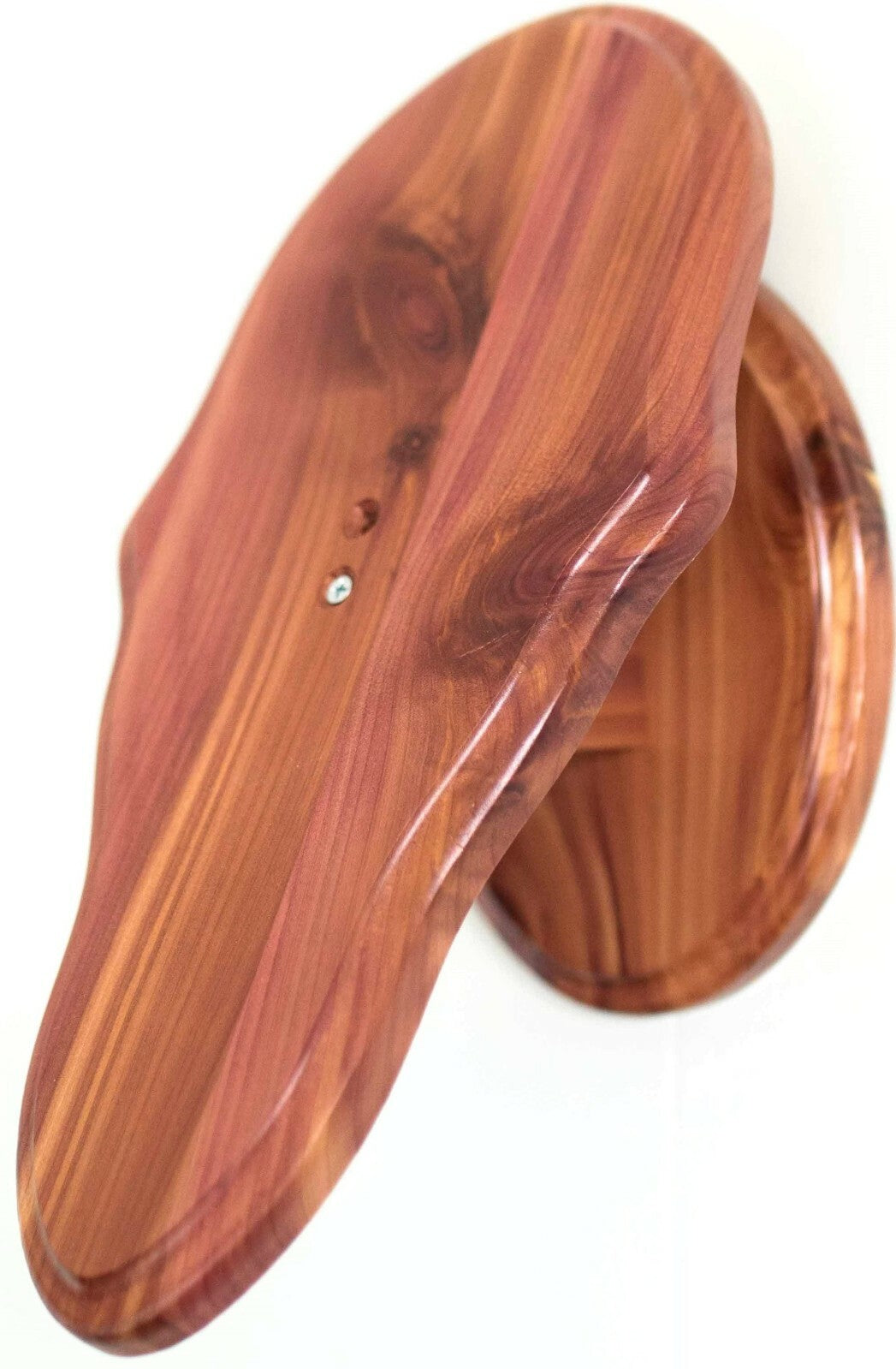 Deer Skull Wall Mount Plaque Cedar European Mount for Trophy Display
