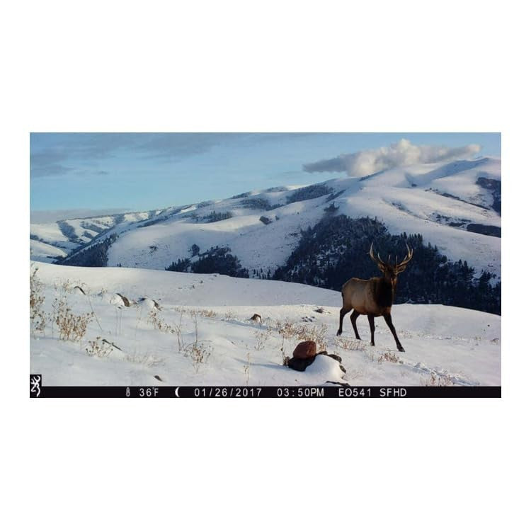 Trail Camera 24MP 1080p Full HD with Night Vision & 120ft Range
