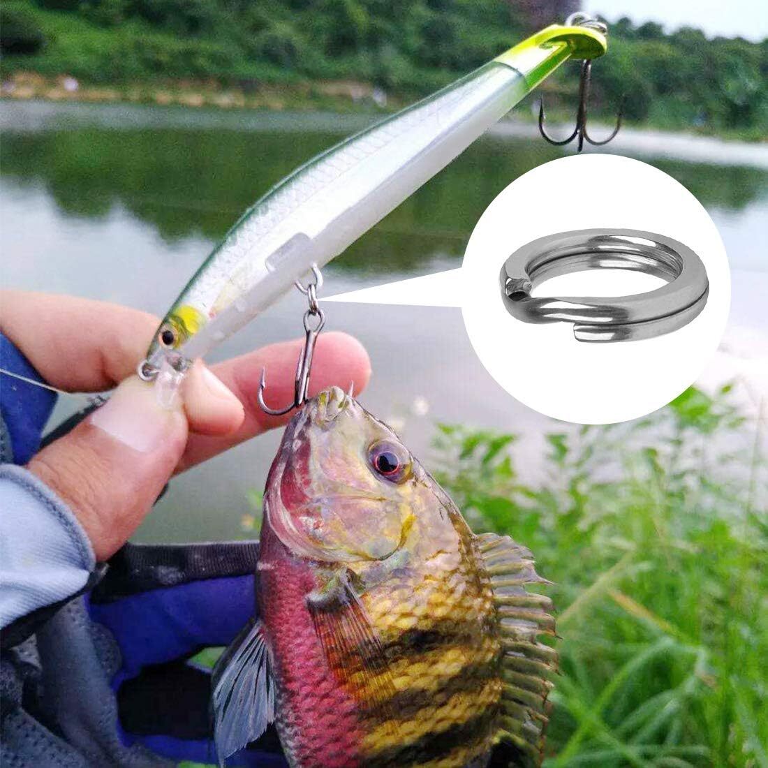 Stainless Steel Fishing Split Rings Set 5 Sizes for Lures & Connectors - 201 Pieces