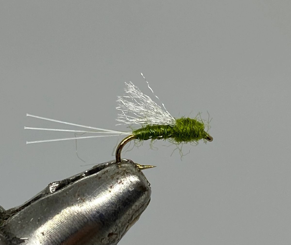 Fly Fishing Flies - Olive Dry Flies Pack of 12 - High-Quality Trout Baits