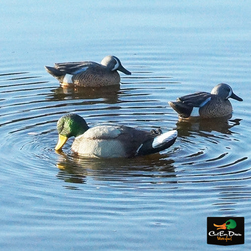 Mallard Duck Decoy with Realistic Water Motion for Waterfowl Hunting