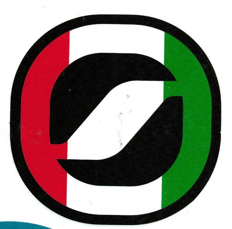 Ski & Snowboard Decals Sticker Set for Mountain Ski Boots & Gear