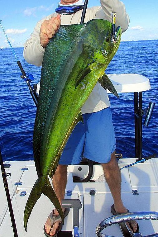 Big Game Trolling Lure - Rigged Dolphin Stinger 5" 2oz for Marlin Tuna Wahoo