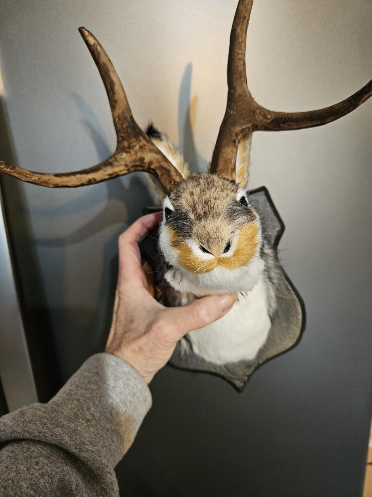 Jackalope Wall Mount Decor - Whimsical Animal Head Wall Art