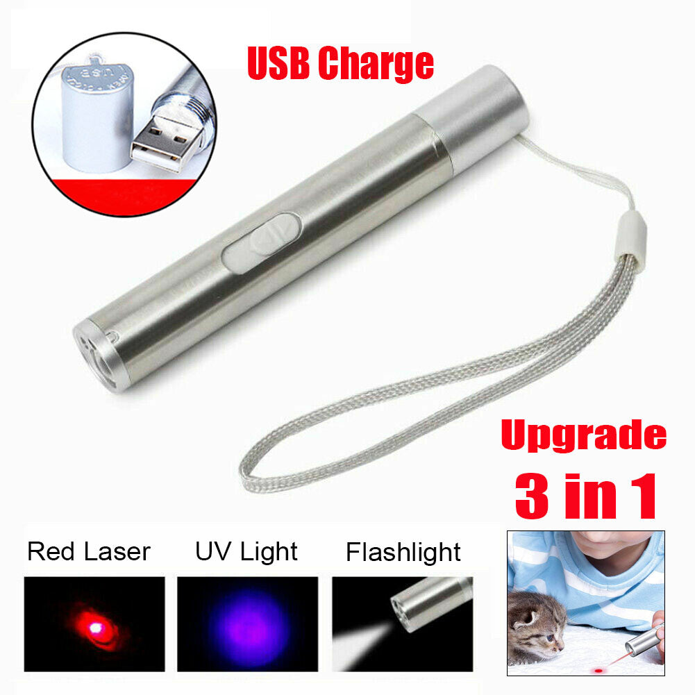 2PCS USB Rechargeable Laser Pointer Pen for Pets and Presentations