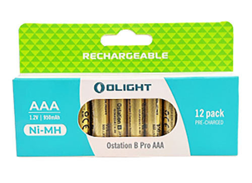 High Capacity AAA Rechargeable Ni-MH Batteries 950mAh 12-Pack