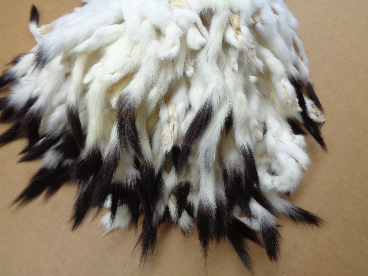 Tanned Ermine Fur with Full Tail for Crafting Wall Decor & Stocking Stuffers