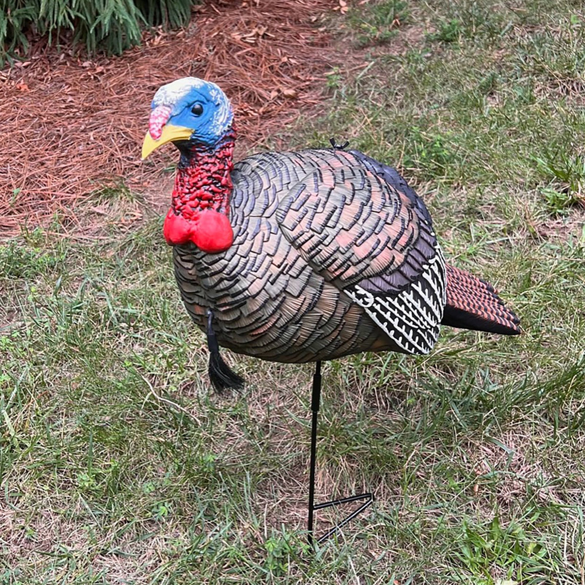 Turkey Decoy for Hunting - Realistic Feather Pattern, Durable EVA Material, 23.5 Inch