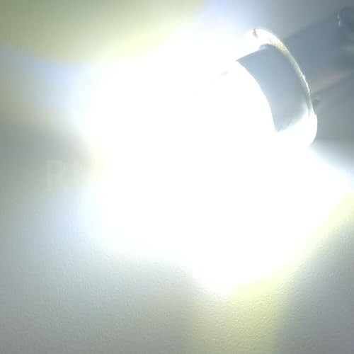 6V LED Flashlight Bulb P13.5S Non-Polarity Bright White Light Replacement