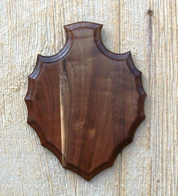 Solid Black Walnut Arrowhead Antler Mount Plaque - 8x10 Hunting Trophy Display