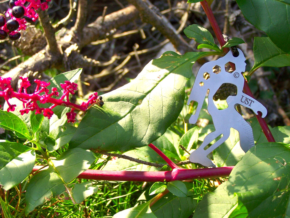 Multi-Tool Carabiner with Stainless Steel Construction for Outdoor Use