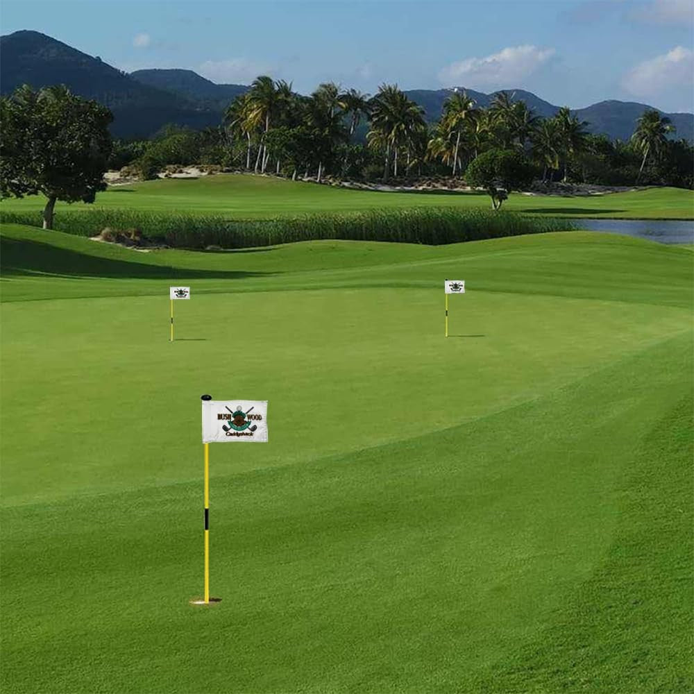Golf Pin Flag 8x6 Inch Double-Sewn Nylon for Putting Green & Practice