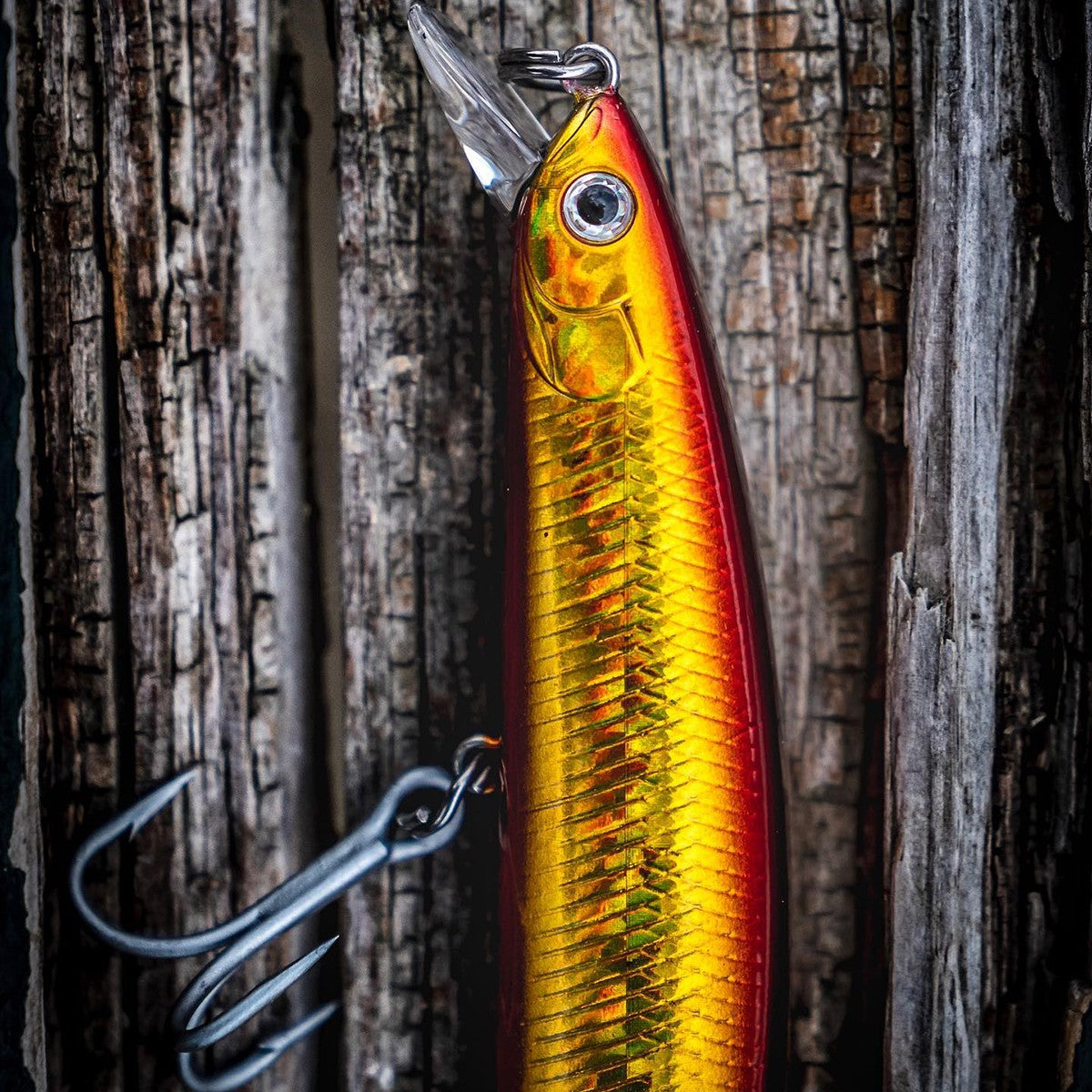 Salt Pro Floating Minnow Fishing Lure for Freshwater & Saltwater Angling