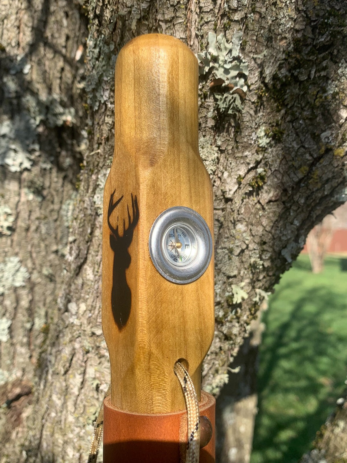 Hand Carved Wooden Hiking Stick with Natural Earth Tones and US Craftsmanship