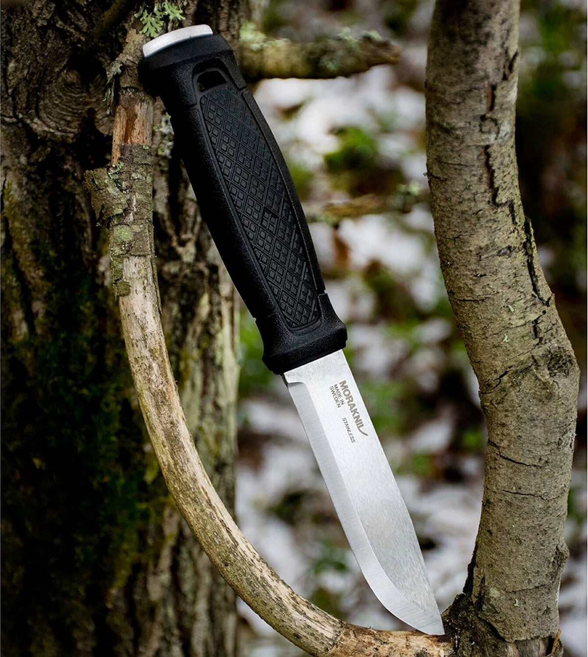 Morakniv Garberg Stainless Steel Survival Knife with Molle Multi Mount