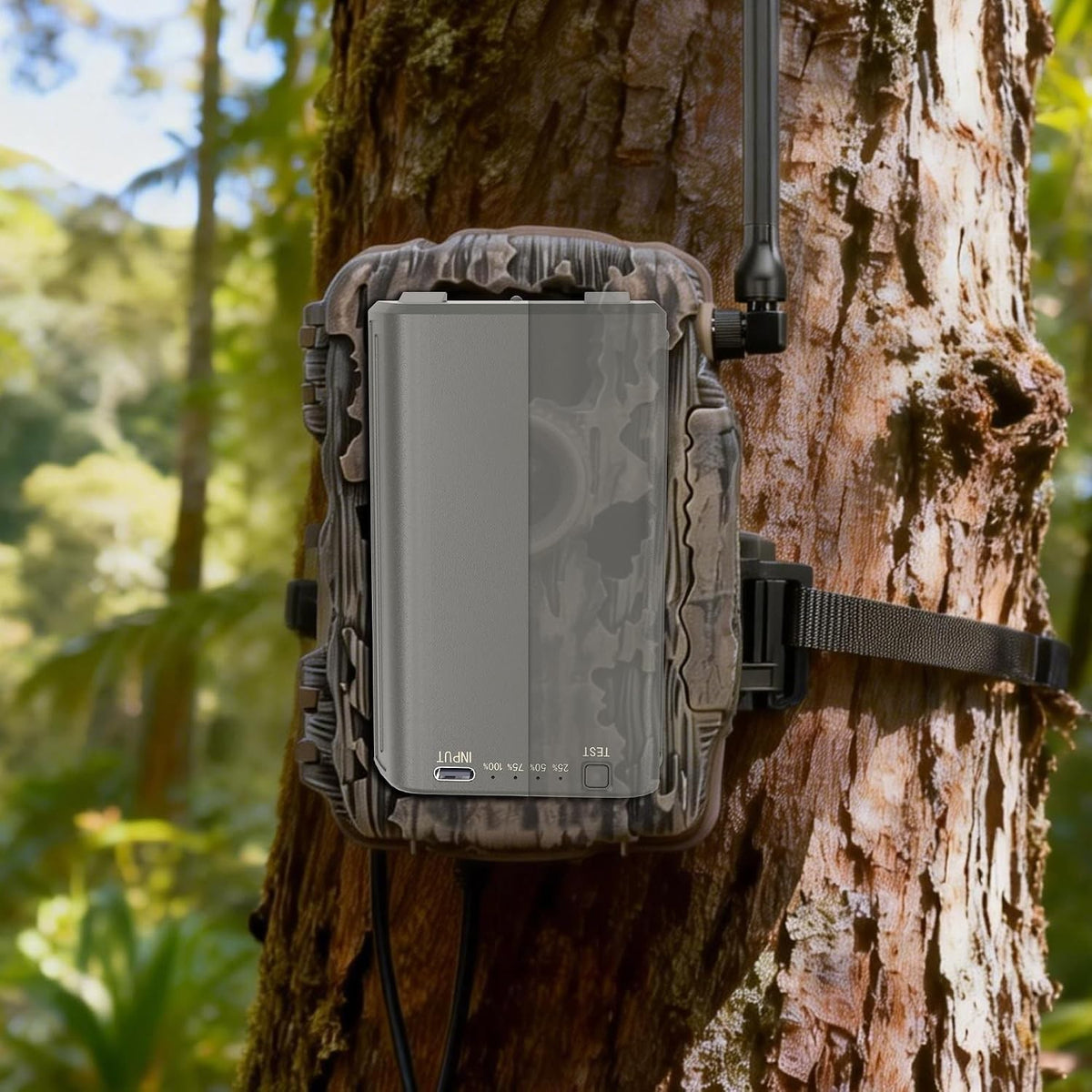 Rechargeable 6000mAh Battery Pack for Trail Cameras - 2 Pack