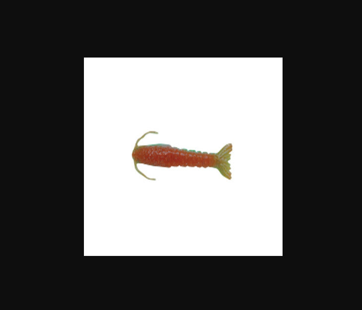 Saltwater Fishing Lure Shrimp 3-4 Inch - Berkley Gulp! Bait for Pier & Reef Fishing