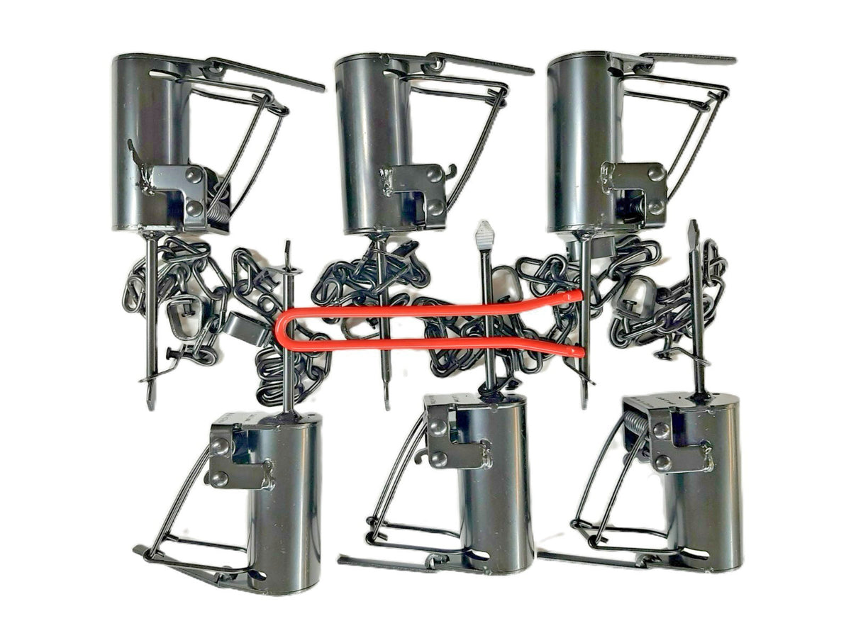 6 Pack Dog Proof Raccoon Traps with Setting Tool - Animal Control