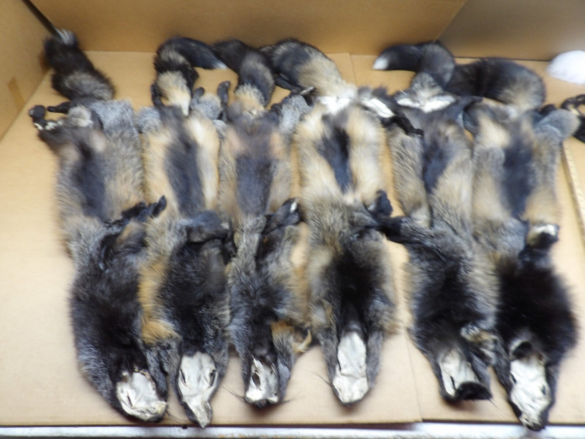 Prime Alaskan Cross Fox Hide - Tanned Fur for Crafts Wall Decor