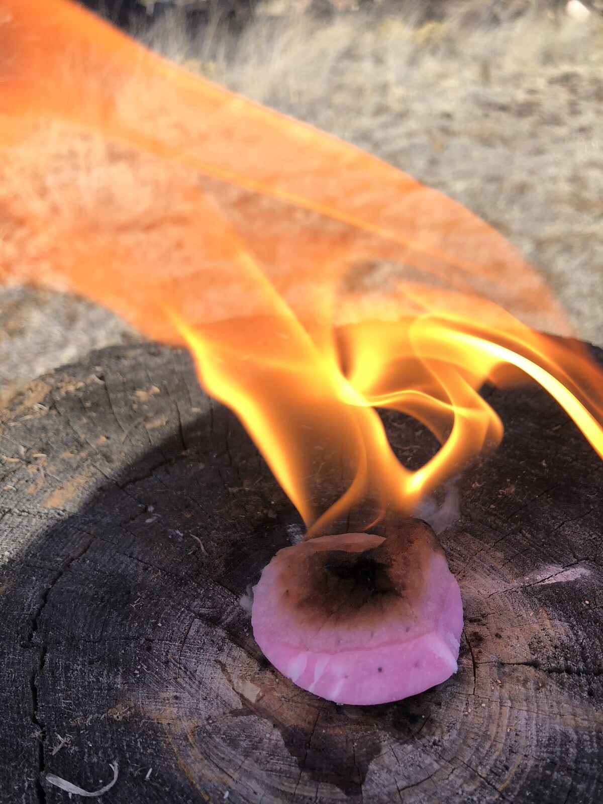 Outdoor Fire Starter Discs Pack of 8 - Waterproof, Windproof Camping Tinder