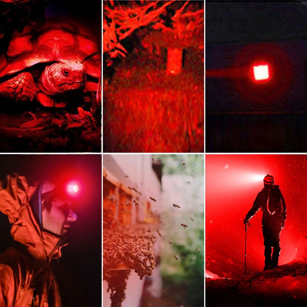 Rechargeable LED Headlamp 500 Lumens with Red Light for Outdoor Hunting & Camping