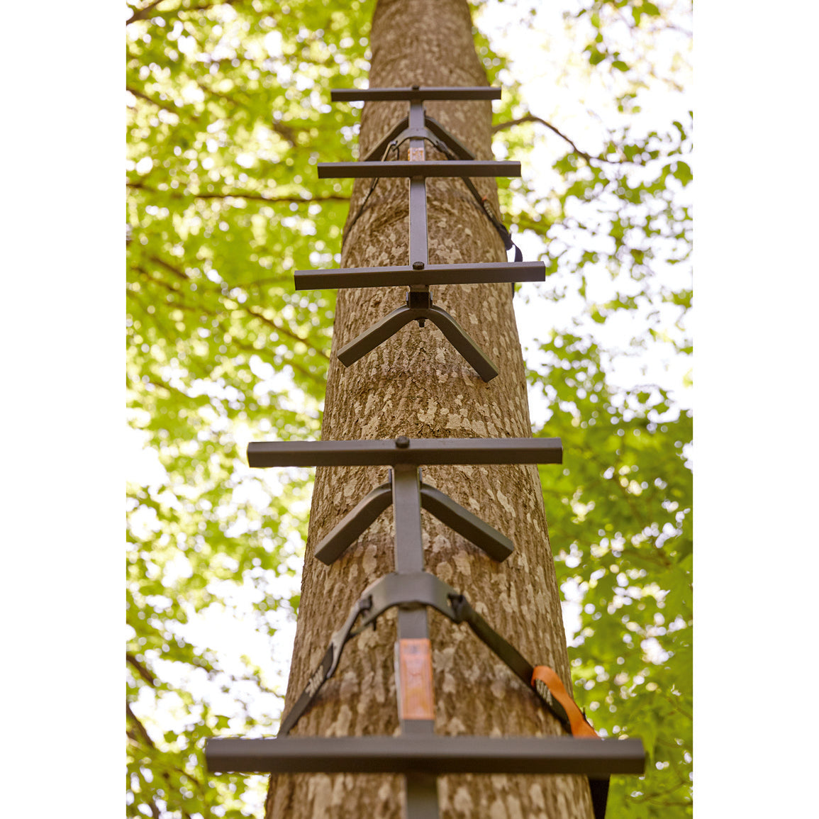 Guide Gear Quick Climbing Sticks - 3 Pack Tree Hunting Climbing Gear