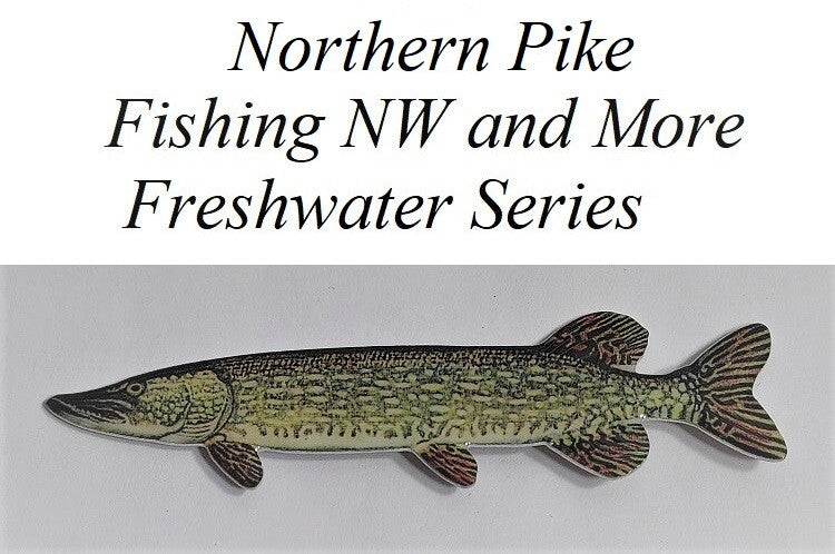 Bluegill Fish Pin - Outdoor Enthusiast Lapel & Hat Badge