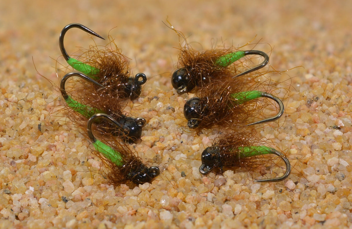 6 Flies Tungsten Jig Head Fly for Euro Nymph Fishing - Assorted Sizes