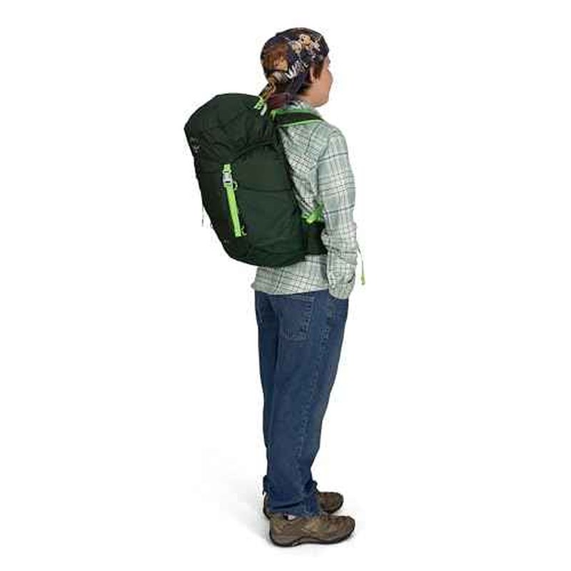 Osprey Jet 18L Kid's Hiking Backpack, Green Canopy