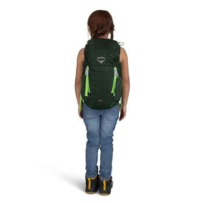 Osprey Jet 18L Kid's Hiking Backpack, Green Canopy