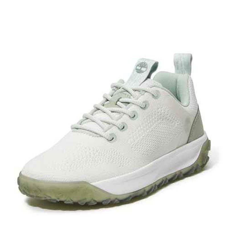 Timberland Women's Greenstride Motion 6 Low Lace Up Hiking Boot
